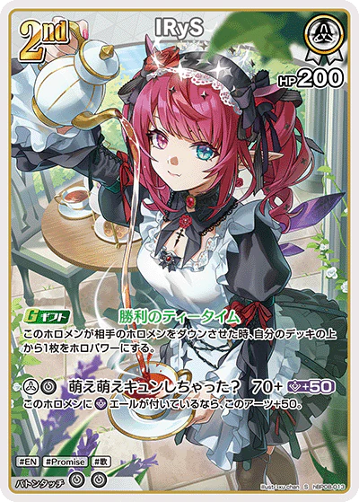 hBP08-013 · S - IRyS